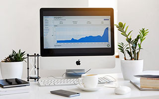 《森林九九夜》终极每日任务指南